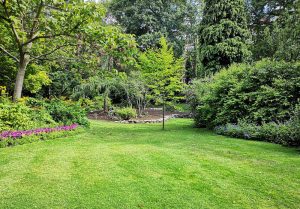 Optimiser l'expérience du jardin à Ouville-l'Abbaye