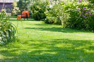 travaux jardin et paysage Ouville-l'Abbaye